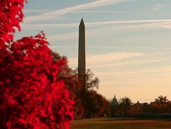 Zoom shot of the Washington Monument in Washington DC Stock Footage