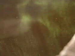 Algae and Algal Bloom Stock Footage