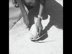 CAN185 CUBA SCENES Instructional Video