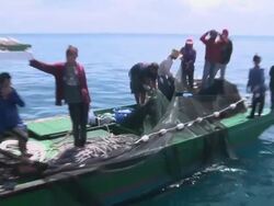 MS ZO Fishermen bringing in net and few fish / Semporna, Sabah, Malaysia    Stock Footage