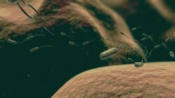 animated bacteriums Stock Footage