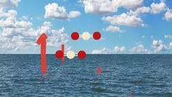 How To Suck Carbon Dioxide Out of the Sky Instructional Video