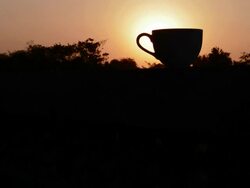 coffee cup silhouette Stock Footage