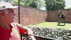 Icy treats for zoo animals in Brazil but scorching heat kills fish in Argentina News Clip