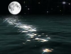 Full Moon Over Sea Loop Stock Footage