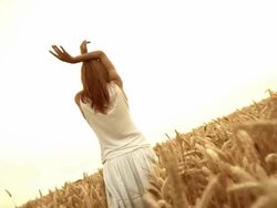 HD: Relaxing In A Wheat Field Stock Footage