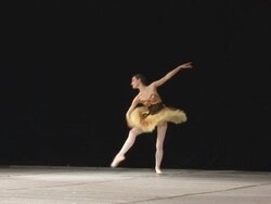 Art of Ballet Stock Footage