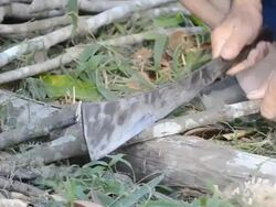 Cutting of firewood Stock Footage
