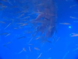 Cosmetic procedures. Stock Footage