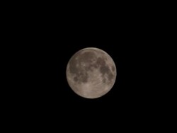 Translation of the moon Stock Footage