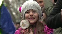 CLEAN : London celebrates Chinese New Year News Clip