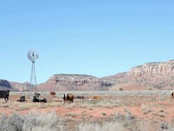 rural dry farmland Stock Footage