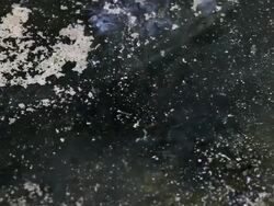 Drops of Water on cement floor. Stock Footage