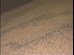 Soybean farmers angry at huge export taxes News Clip