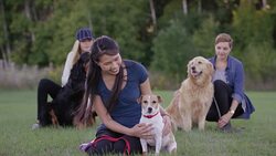 Dog Obedience Class Stock Footage
