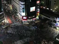 WS Street crossing at night  / Shibuya, Tokyo, Japan Stock Footage