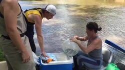 Woman Saves Daughter's Pet Chinchilla From Flood Instructional Video