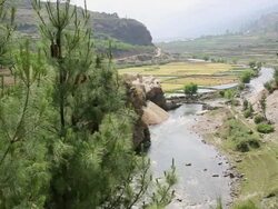 WS HA View of Nepalgunj crops / Durma, Banke District, Nepal Stock Footage