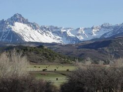 Mount Sneffels rises over ranch land and cattle herd Colorado Stock Footage