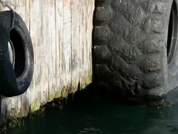 old tires on seaport Stock Footage