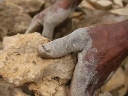 Men building stone wall enclosure Stock Footage