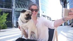 Woman taking selfie with her dog in an outside cafe Stock Footage