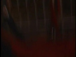 EDtv Premiere Stock Footage