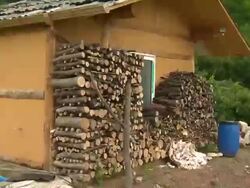 Shot of stacking woodpile Stock Footage