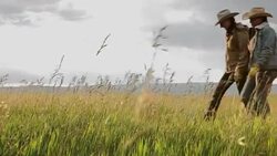 Female ranchers walking in remote rural field Stock Footage