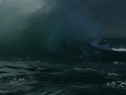 Shark Breach Stock Footage