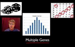 Advanced Genetics Instructional Video