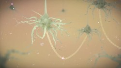 Science Says: How repeated head blows affect the brain ++Animation with soundbites++ News Clip