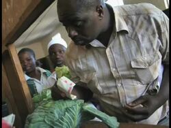 John Moore Photo Journal South Africa and Zimbabwe Part 2 Stock Footage