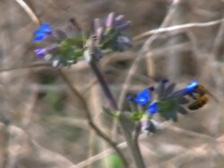 Wind And Nature Hd Stock Footage