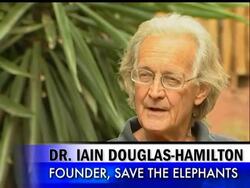 A drought in Kenya has gotten so bad that it is felling even the giants of the animal kingdom, the country's famed elephants which are dying as rivers dry up and grasslands shrivel in parched game reserves. News Clip