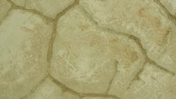 (Drone) Birdseye Zoom of Woman in the Desert 02 Stock Footage