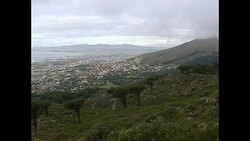 Cape Town Stockshots - District 6 and Camps Bay News Clip