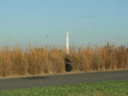 MS Early morning cyclist cycling in front of lighthouse near St Kilda Beach / Melbourne, Victoria, Australia Stock Footage