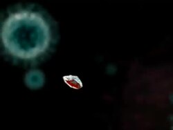 WS H N type flu virus particles moving / Oxford, Oxon, United Kingdom Stock Footage