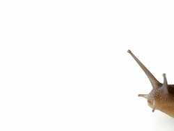 Everybody Poops Stock Footage