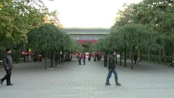 CLEAN : Twos a crowd for many Chinese after policy change News Clip