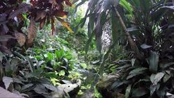 Small waterfall and garden Stock Footage