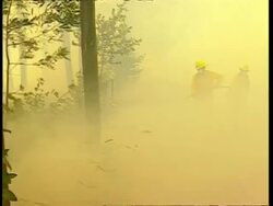 MS 2 Fire fighters spray water on smoking bush Stock Footage