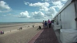 CLEAN: Shrimp shellers compete for glory in France News Clip