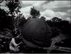 THE SUN'S ECLIPSE News Clip