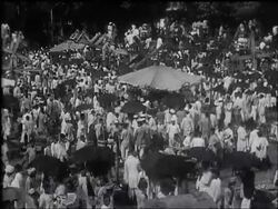 Coconut Day Festival In Bombay News Clip