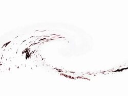 WAVE : (LOOP) Stock Footage