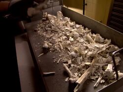 Bones and ashes Stock Footage