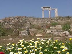 Ancient Greek columns on Delos, Greece Stock Footage