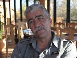 Panjo The Tiger And His Best Friends Stock Footage